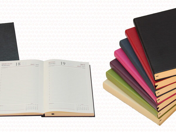 Agendas 2027 Diaria